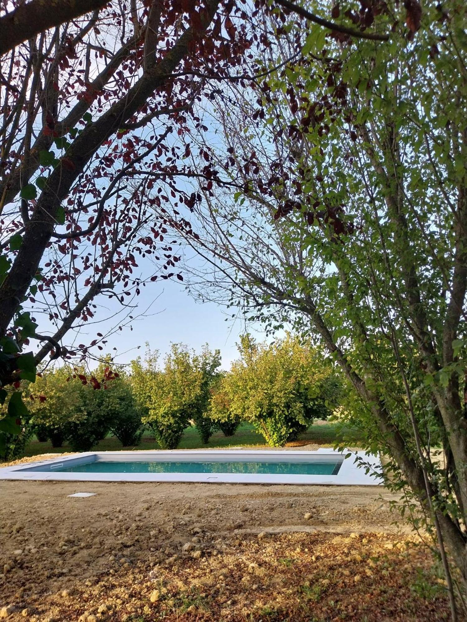 Castagnole delle Lanze Miravigne House - Casa Di Campagna Con Cucina מראה חיצוני תמונה